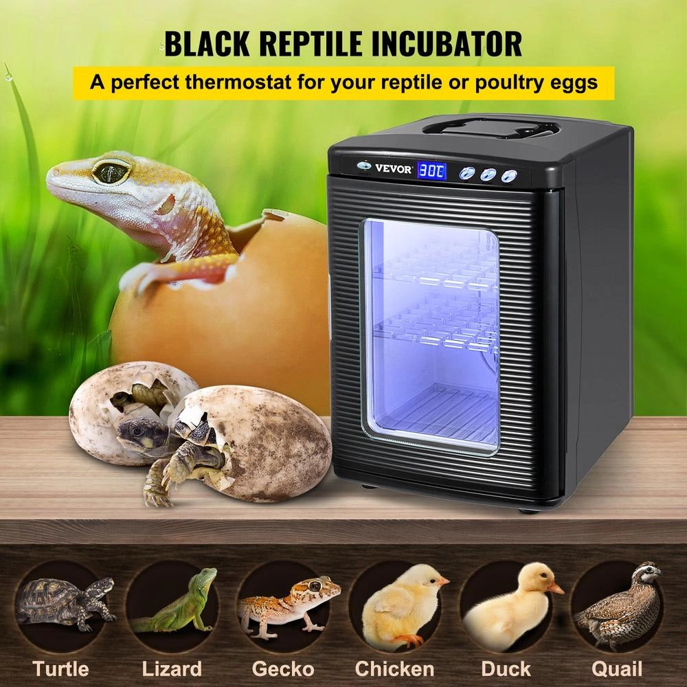 Incubatrice per uova di rettili 25L display LED regolazione temperatura 5-42℃ riscaldamento e raffreddamento 220V 12V CC per laboratorio e cova uova