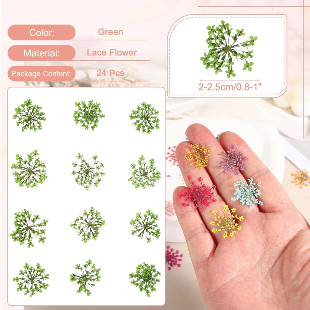 Fiori secchi e pressati, 24 pezzi, di colore verde, dimensioni 2-2,5 cm