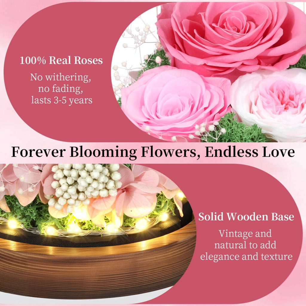 Rose conservate in un portacandele di vetro con illuminazione a LED, set da 3, colore rosa