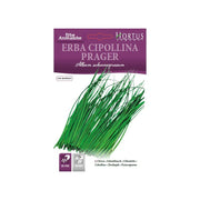 Erba Cipollina DB