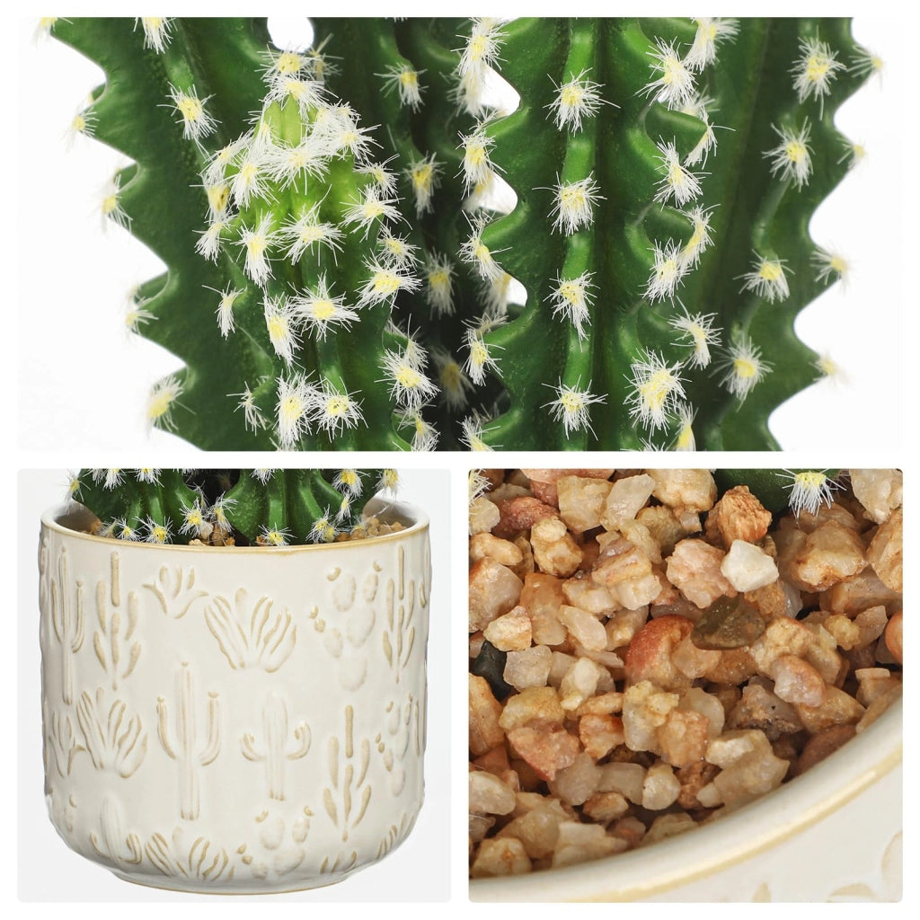 Pianta di cactus artificiale in vaso di Vetroceramica, altezza 33 cm, realizzata in plastica