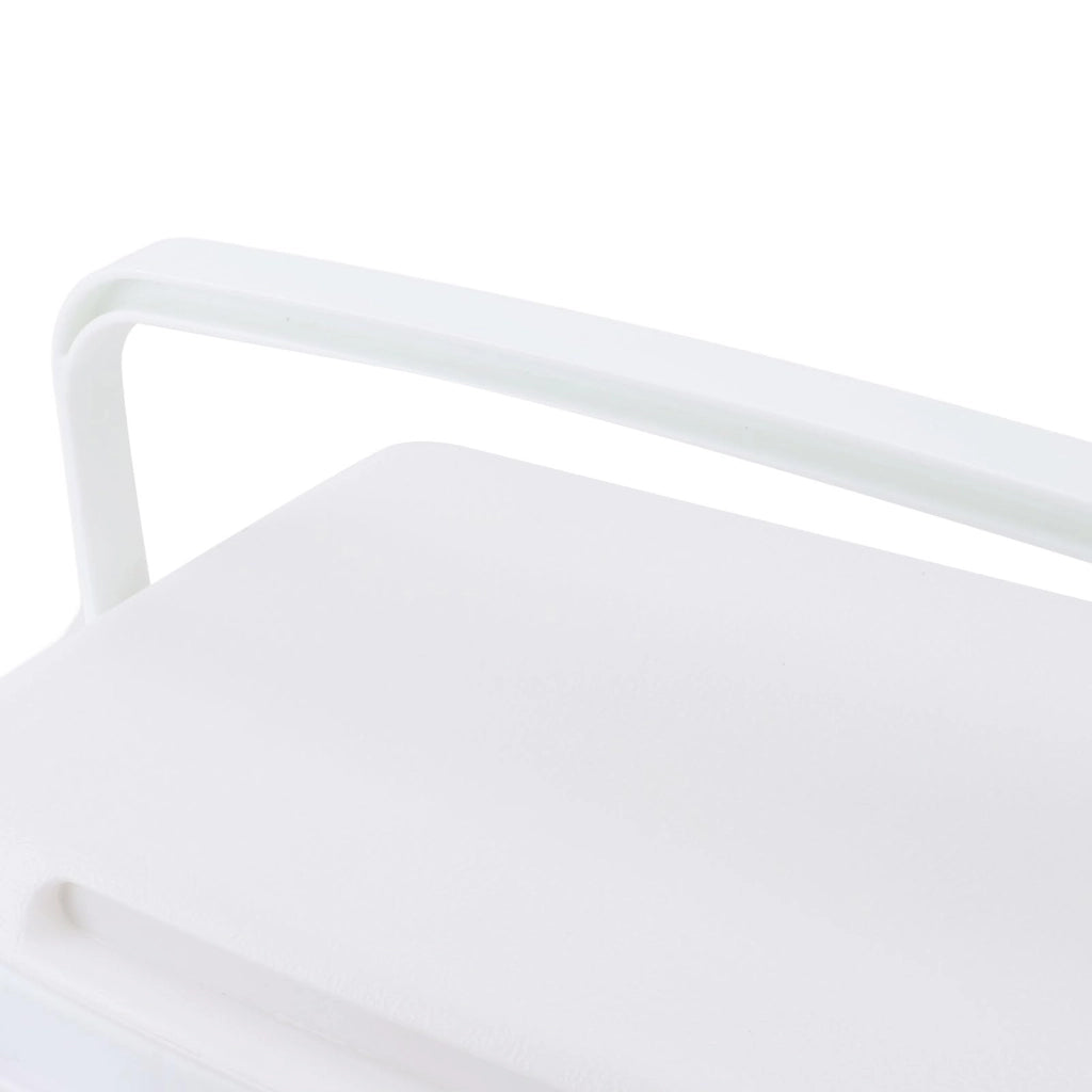 Borsa termica portatile da 8 litri, in plastica, isolata, ideale per campeggio e picnic