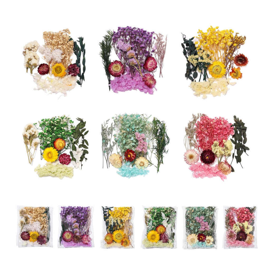 Set di 6 fiori e foglie essiccati per progetti fai-da-te