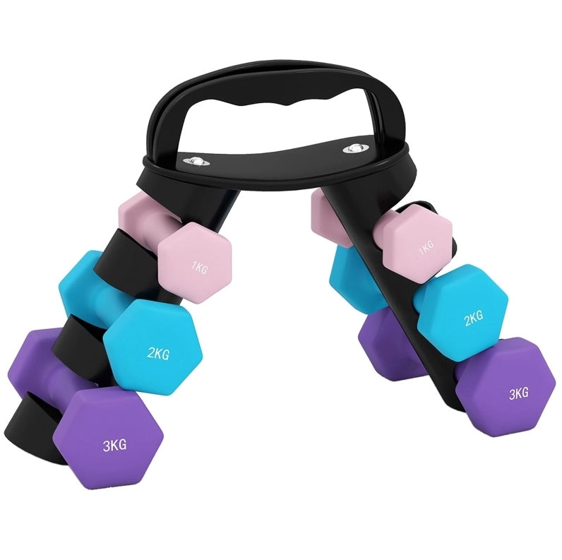 Set di manubri con supporto 2 x 1 kg 2 x 2 kg 2 x 3 kg, rosa e blu