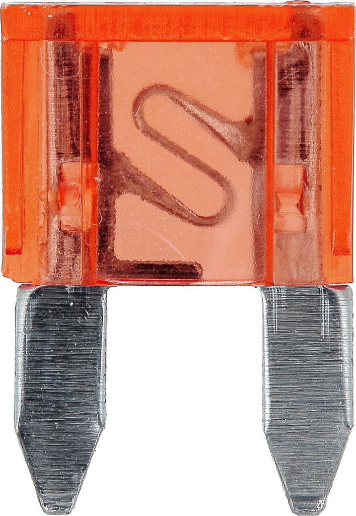 Mini fusibile di sicurezza, colore rosso, 32V/10A, confezione da 1 pezzo