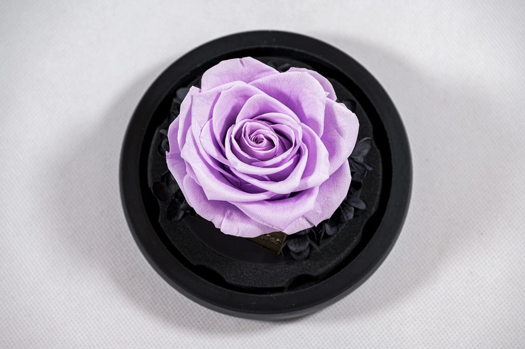 Rosa premium vera in vetro con scatola regalo – lunga durata, regalo elegante come prova d'amore, viola cuore