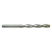 PUNTA CILINDRICA PER MURO 'STANDARD PLUS' mm 12 x 600 '03051'
