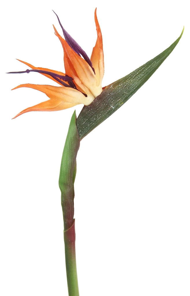 Fiori artificiali Strelitzia, set da 3, 60 cm, arancioni