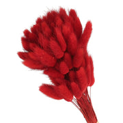 80 code di coniglio essiccate, lunghezza 40 cm, colore rosso, ideali per composizioni floreali e vasi