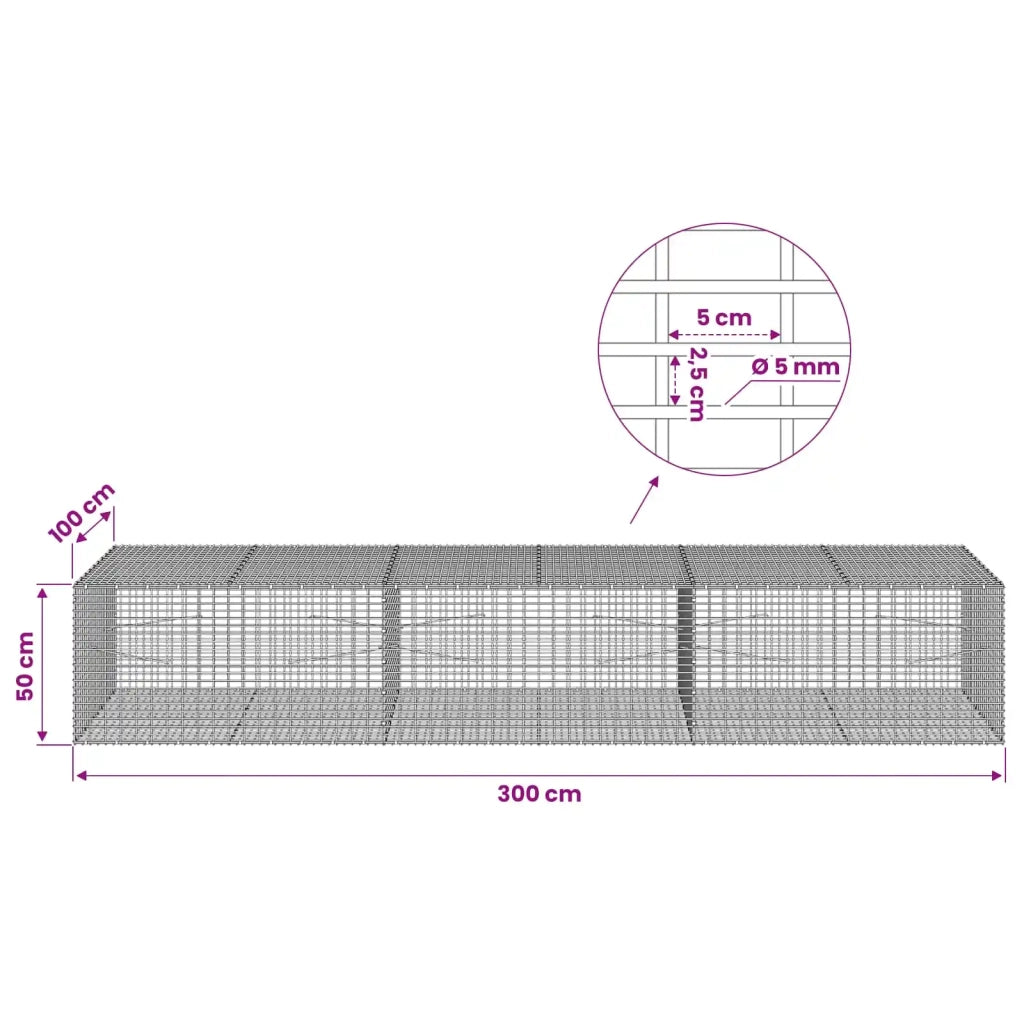Gabione con Filo da 5 mm e Rete da 5x2,5 cm 300x100x50 cm 3463848