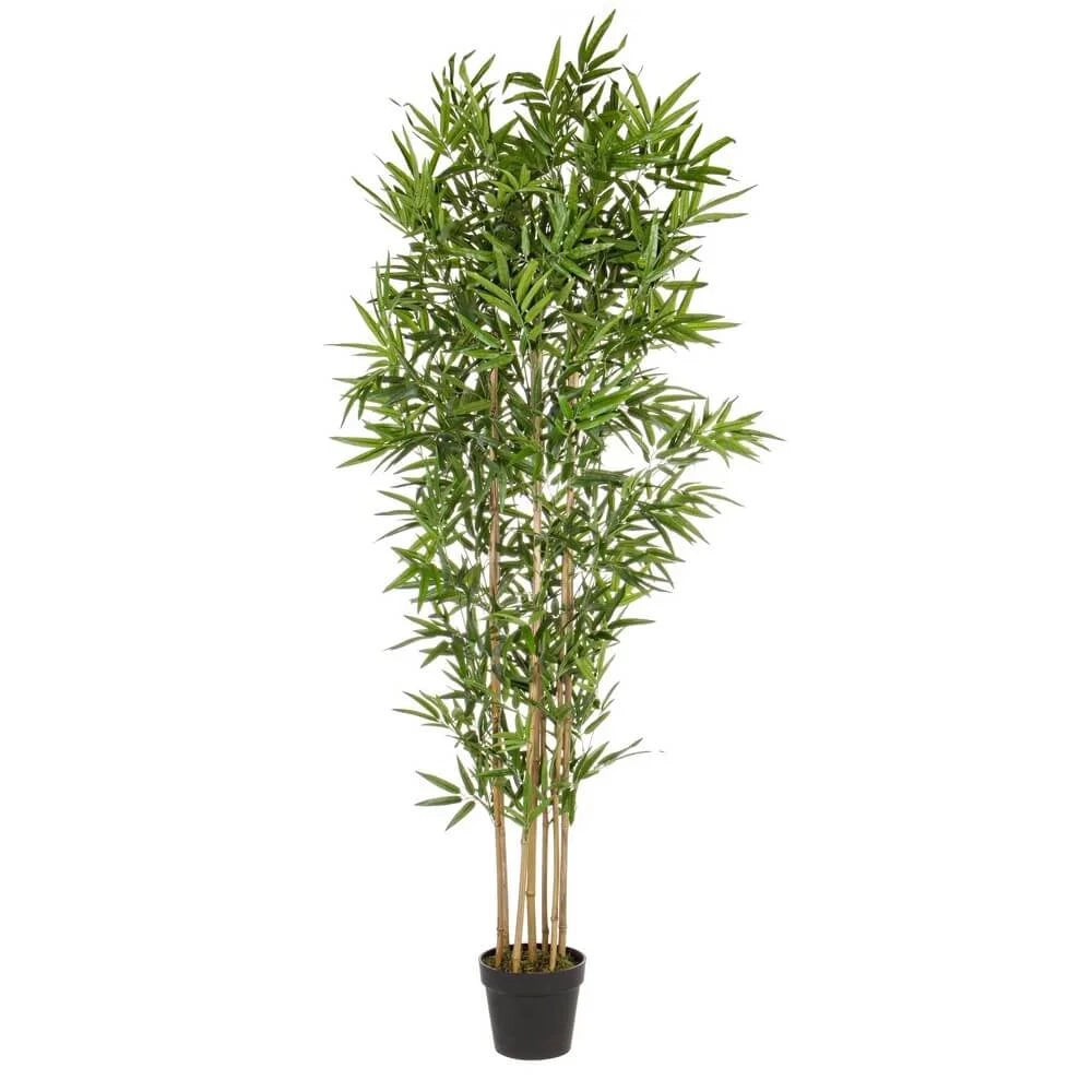 Set di 2 Piante Bamboo Artificiali con Fusti Naturali H185