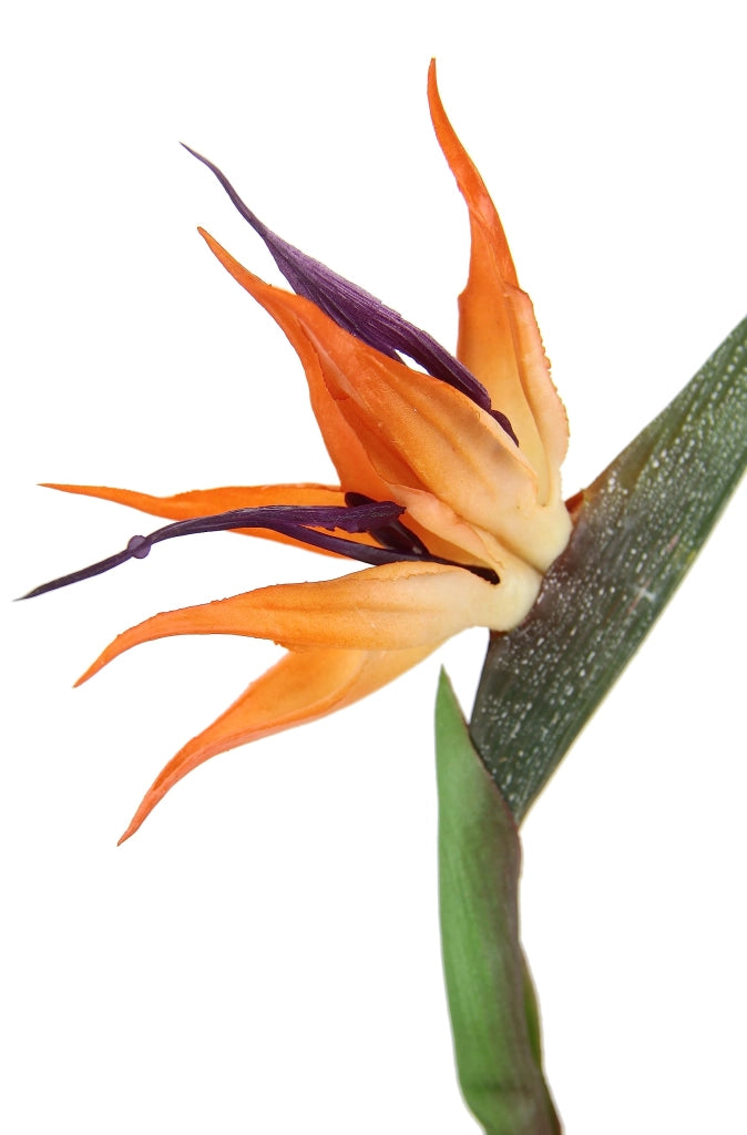 Fiori artificiali Strelitzia, set da 3, 60 cm, arancioni