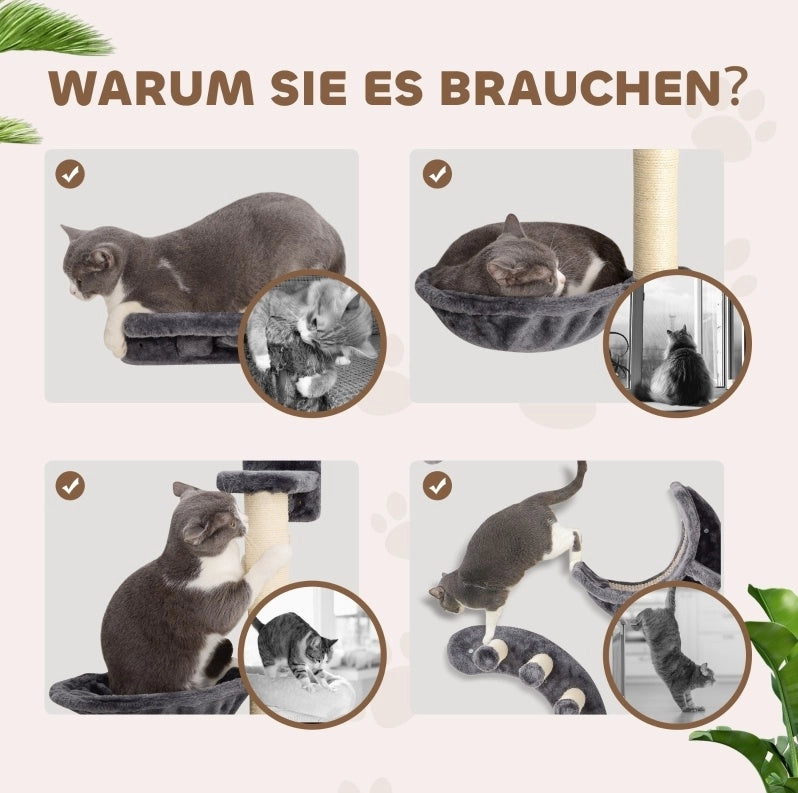 Set da parete per gatti a 4 elementi grigio scuro, per gatti fino a 5 kg