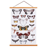 Telaio magnetico per poster in legno, 50 cm, teak – Set per l'installazione