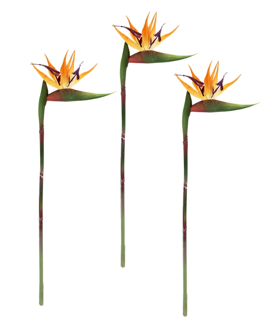 Fiori artificiali Strelitzia, set da 3, 60 cm, arancioni