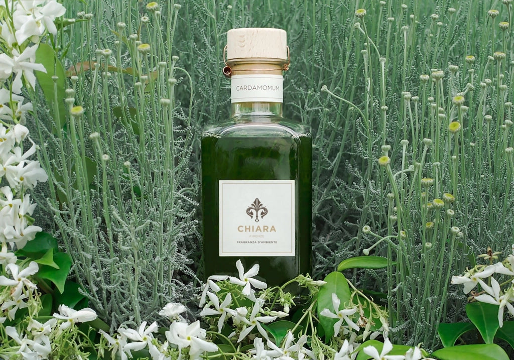 Diffusore di fragranza alla cardamomo, 200 ml – rinfrescante e speziato