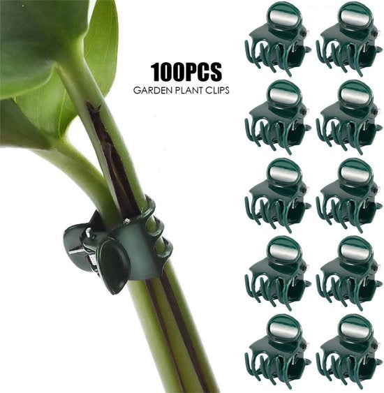100 clip supporti per piante, clip per orchidee, clip di sostegno per piante e orchidee, clip per fiori, utilizzate per sostenere steli, viti da vino e piante rampicanti, attrezzi da giardino da fissare