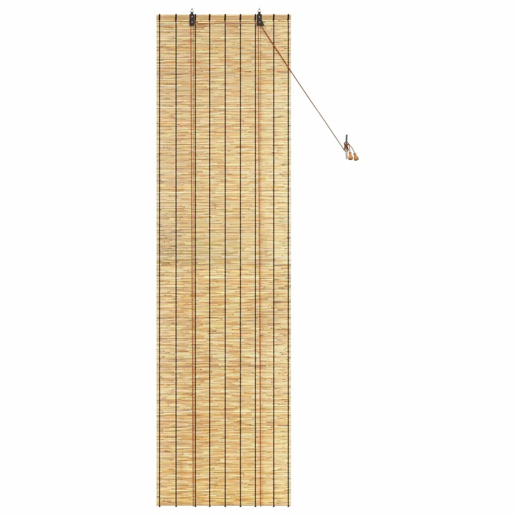 Tenda a rullo Naturale 60 x 220 cm Giunco 42034648