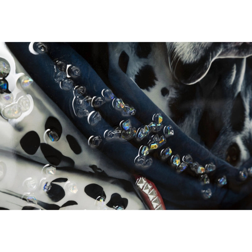 Stampa su Tela Dalmata, Multicolore, Legno, 53x3x73 cm