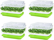 4 contenitori per innesto semi, innestatore semi, 32 cm x 26 cm, innestatore semi con coperchio per semi grandi, innestatore semi, innestatore semi per la coltivazione di fagioli mungo, alfalfa