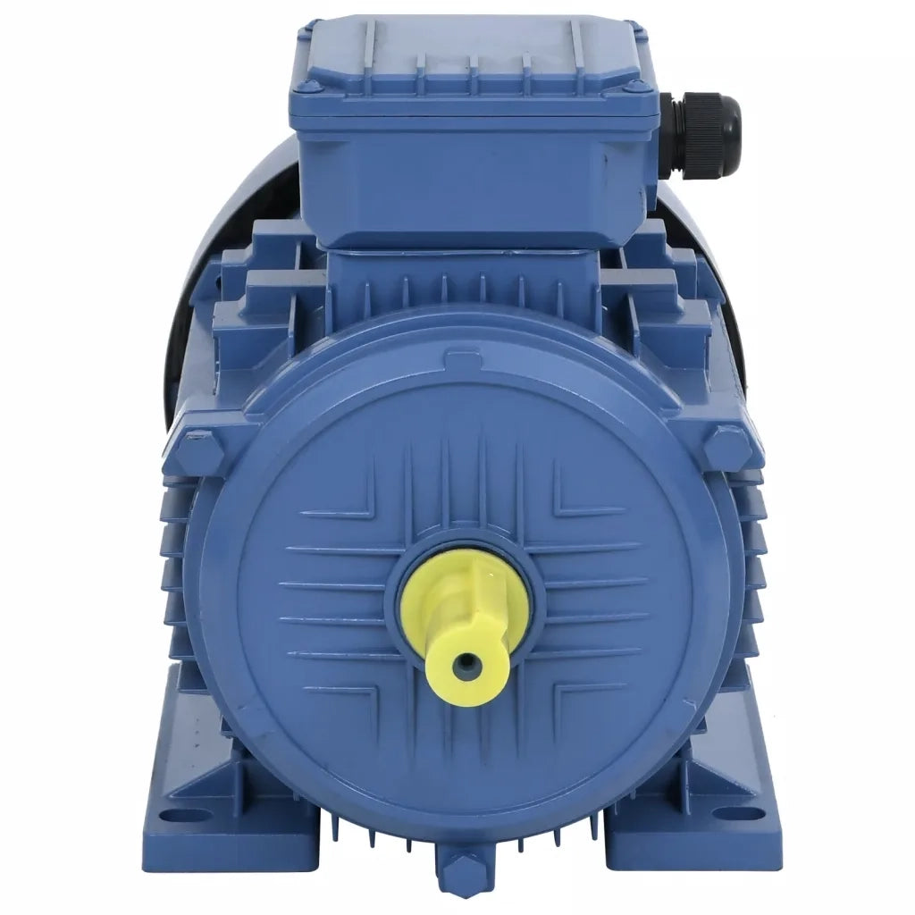 Motore Elettrico Trifase in Alluminio 3kW/4HP 2 Poli 2840 RPM 148005