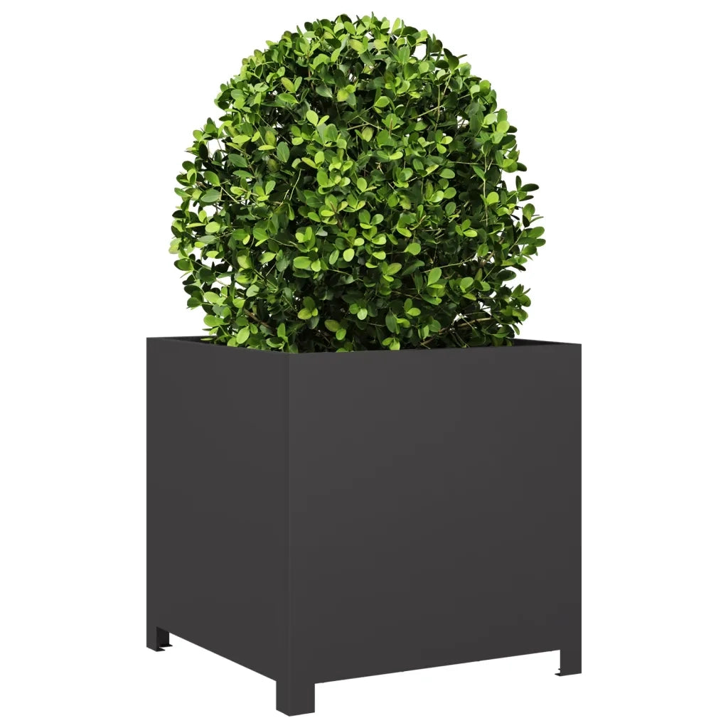Fioriera | Cassetta per fiori | Vaso da Giardino Nera 50x50x50 cm in Acciaio