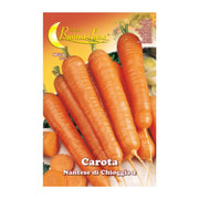 SEMI ORTO CAROTA DI CHIOGGIA- HORTUS SEMENTI- 10,0 pz