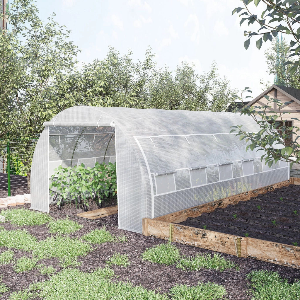 Serra da giardino 18 m2 ¨C zephmum ¨C 6x3x2 m, 12 finestre, acciaio PE, bianco