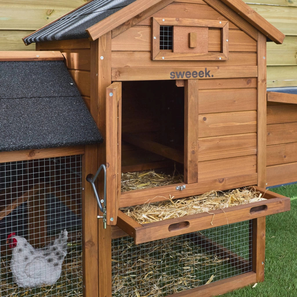 Pollaio in legno con recinto per 3 galline, marrone naturale