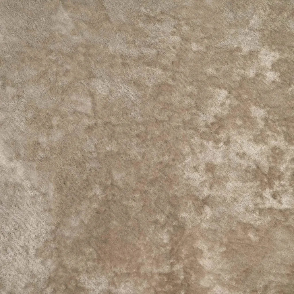 Tende in Velluto 2 pz Champagne 260 x 140 cm Velluto 4107677