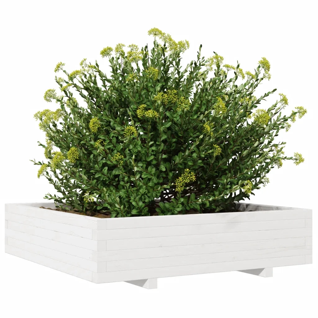 Fioriera da Giardino Bianca 100x100x26,5cm Legno Massello Pino