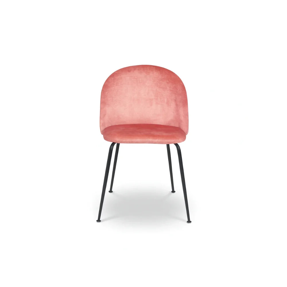 Cipro, Set di 2 sedie in velluto Rosa (45cm X 55cm H.79cm) | Duzzle