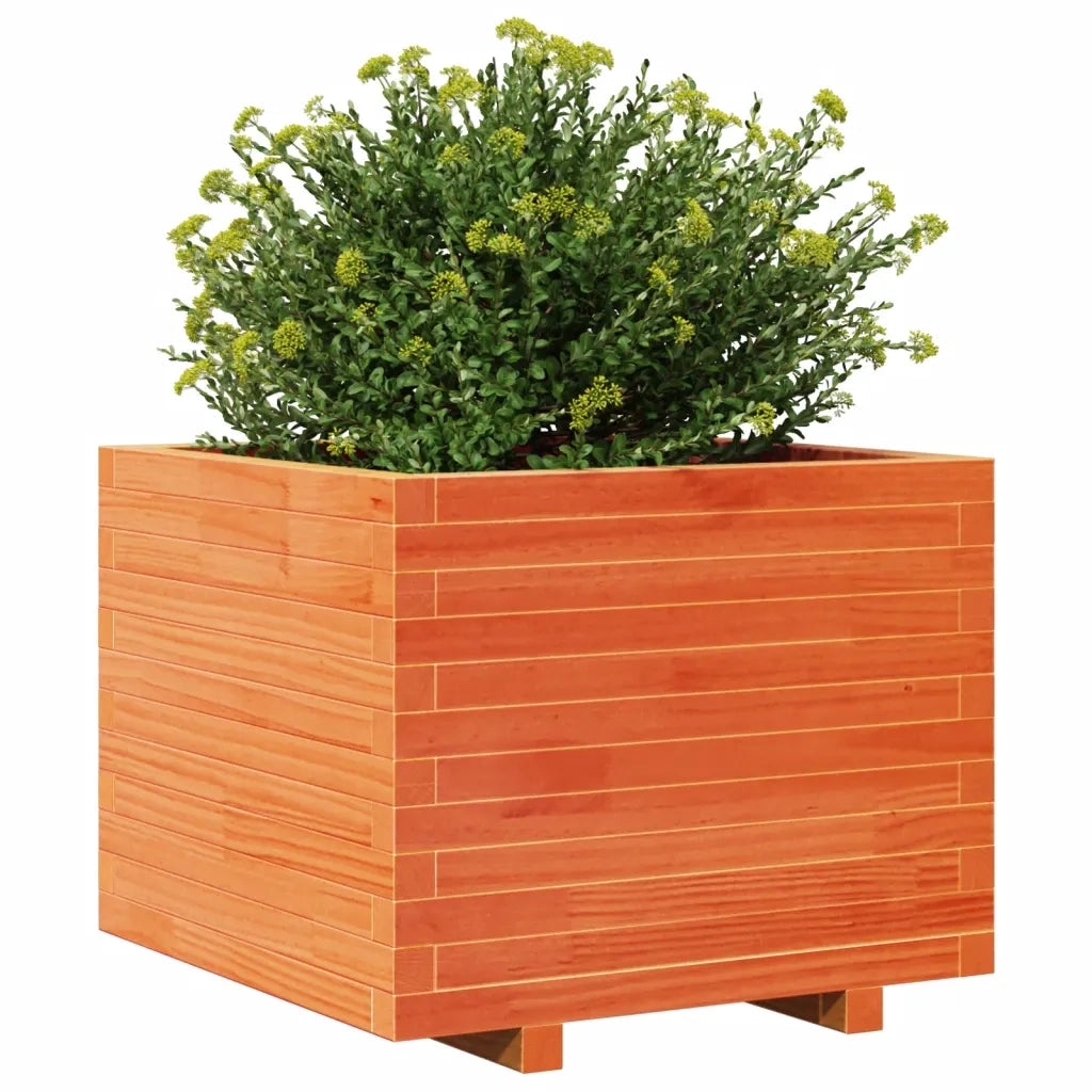 Fioriera Giardino Marrone Cera 60x60x49,5cm Legno Massello Pino 847360
