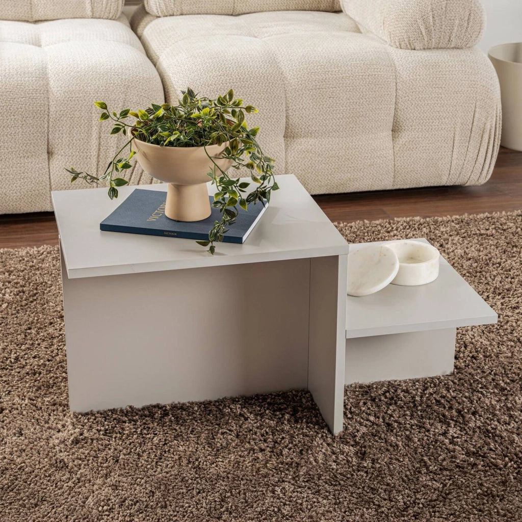 Tavolino da salotto Varian, Tavolo basso da caffè, Portariviste per divano, Ripiano da soggiorno, 80x40 h40 cm, Grigio