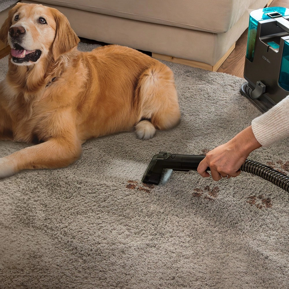 CECOTEC A90_EU01_115423 - Conga 3000 Carpet&Spot Clean X-Treme