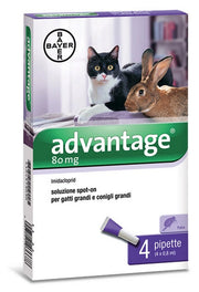 Bayer Advantage Spot On 80 Gatti Oltre Kg.4