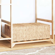 Scatola di Stoccaggio Naturale 60 x 38 x 20 cm Giacinto d'acqua 42020145