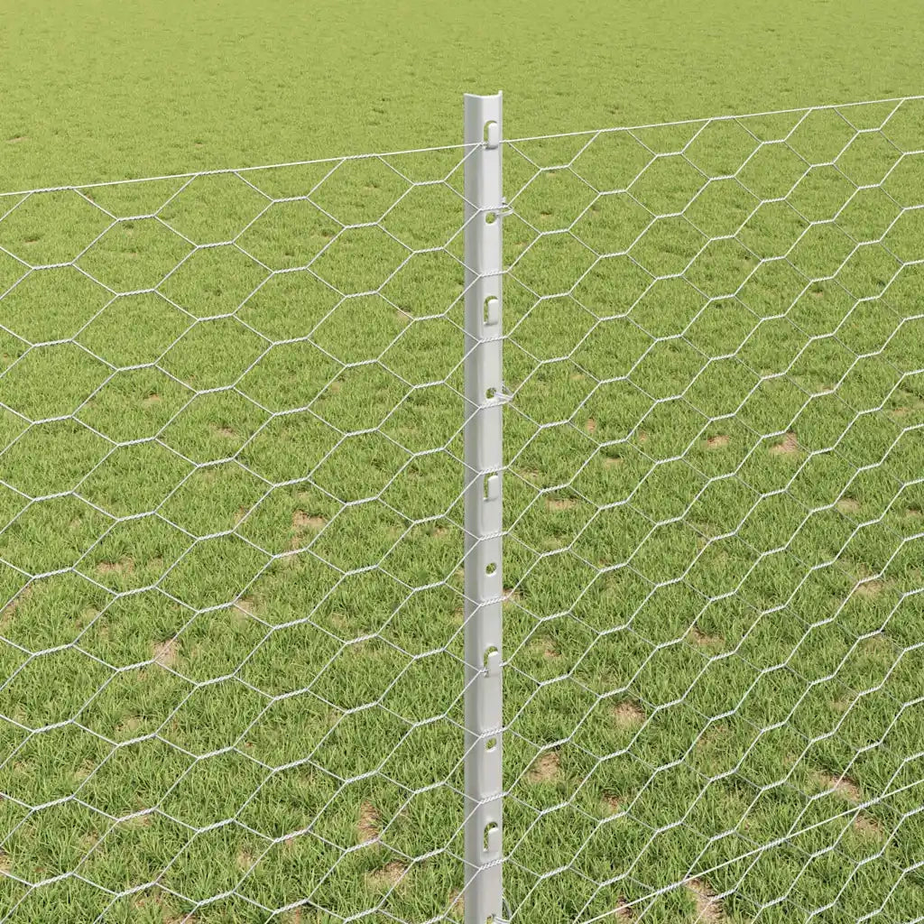 Recinzione da Giardino | Recinzione con Posto Argento