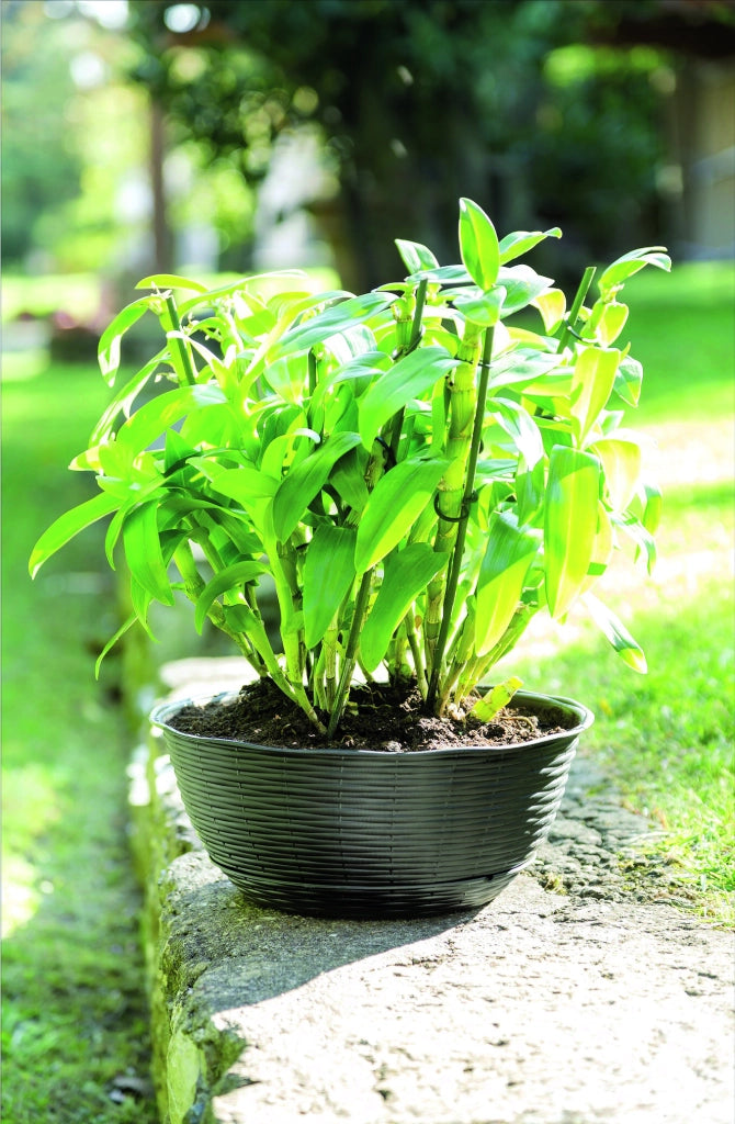 Bama CIOTOLA PAGLIA Col. Antracite Ø cm. 40x17 h