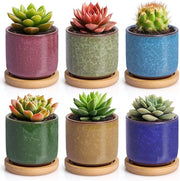 Set di 6 Vasi per Succulente | Vasi Ceramici Ronde con Sostegno in Bambù | XS | Per Piantine Grasse, Cactus e Piccole Piantine di Interno