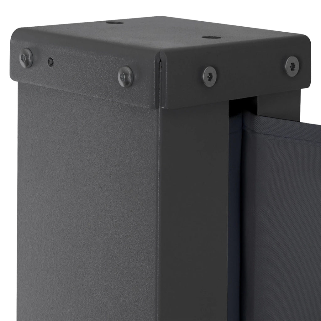 IDMarket - Tenda sole laterale retrattile 160 x 300 cm grigio antracite