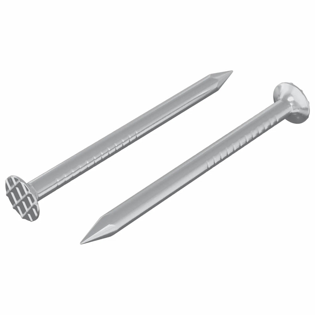 Chiodi per Legno 2 pz Argento ? 3 x 15 mm Metallo CFW4317344