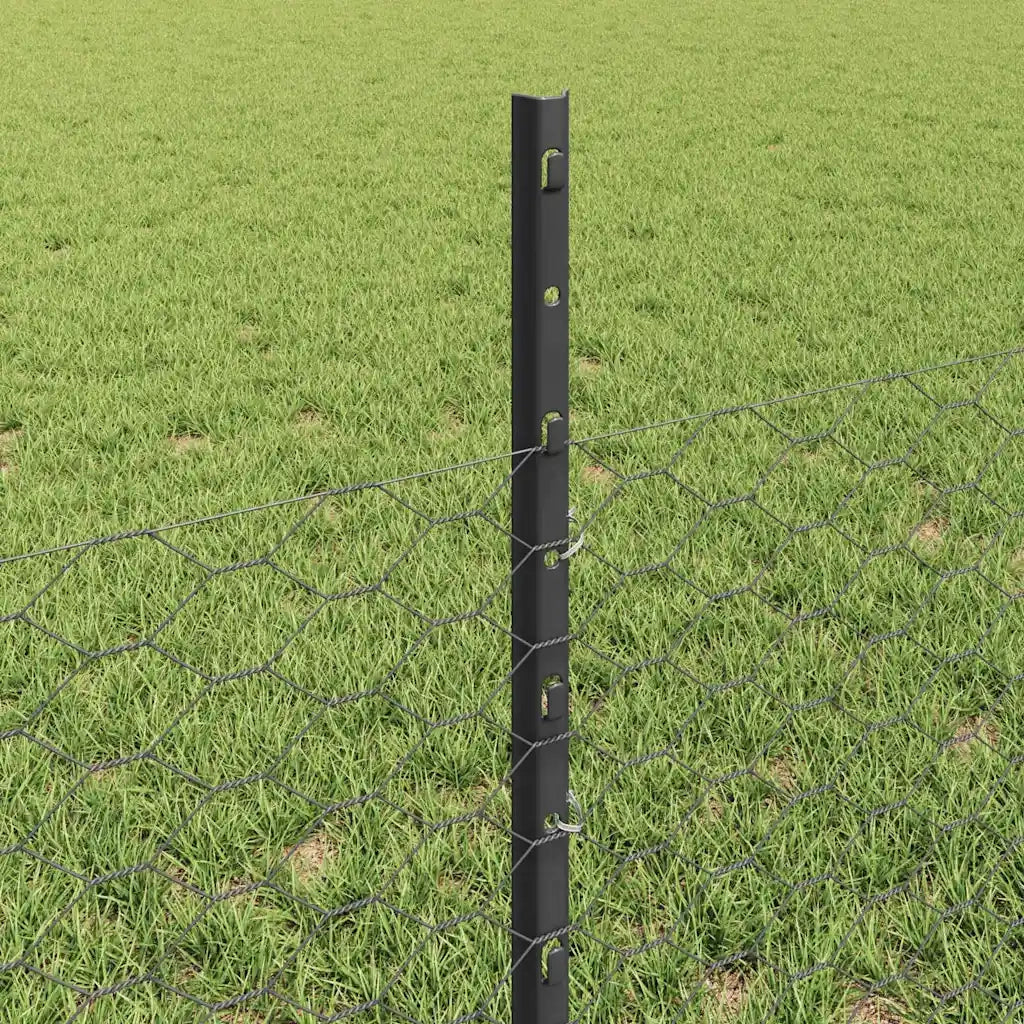 Recinzione con pali. Grigio 0.5 x 50 m Acciaio