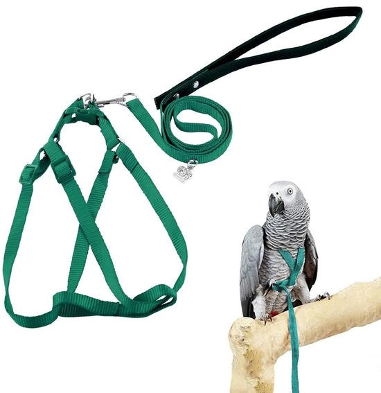 Accessori per uccelli e corda per pappagalli Corda regolabile con fune in nylon per uccelli in libertà Cintura di addestramento antipulci per pappagalli piccoli Pappagalli Pappagalli di palazzo Pappagalli di falco