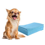 Traverse usa e getta con controllo odore, Traverse con asciugatura rapida per cani gatti conigli 60 x 43 cm-Giochi e accessori per cani