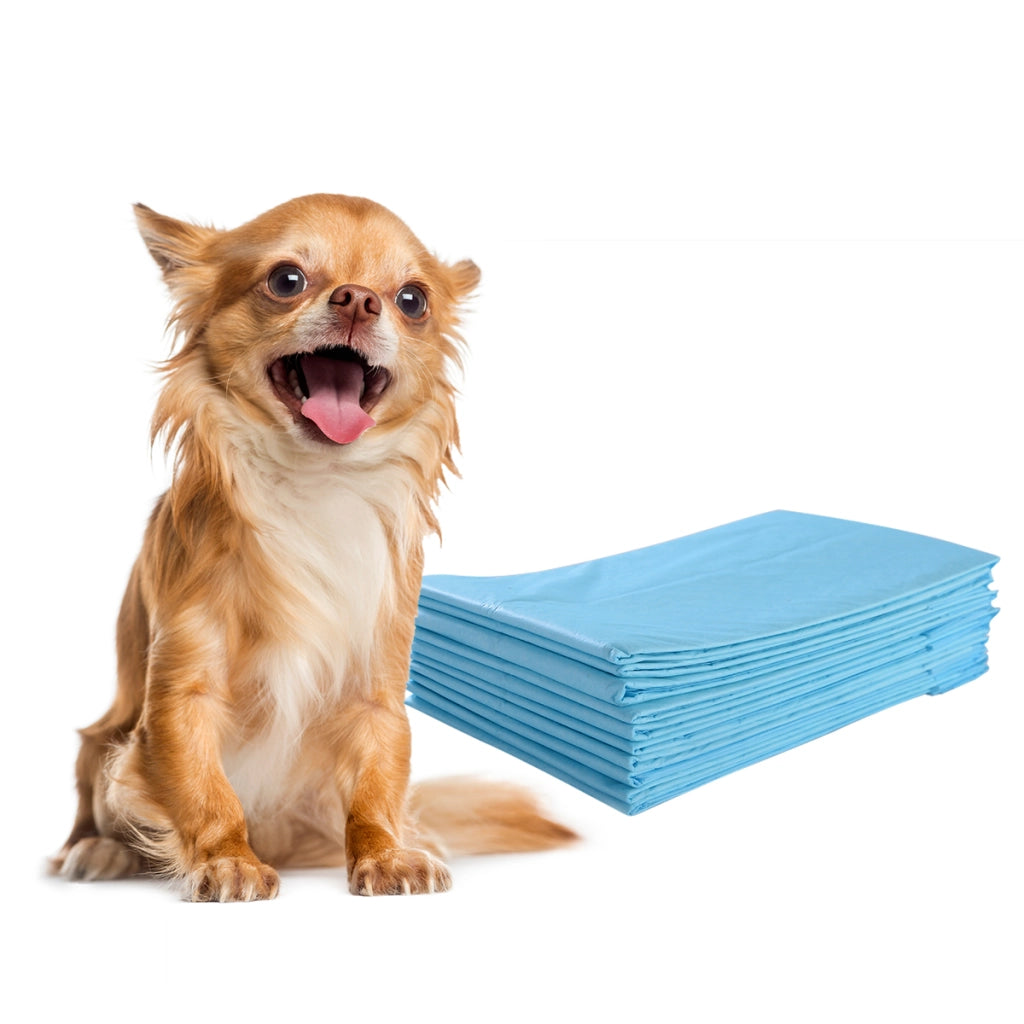 Traverse usa e getta con controllo odore, Traverse con asciugatura rapida per cani gatti conigli 60 x 43 cm-Giochi e accessori per cani