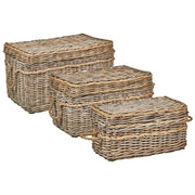 Set di 3 scatole in rattan con telaio in mogano, manici in corda e coperchi fatti a mano in stile boho soggiorno camera da letto