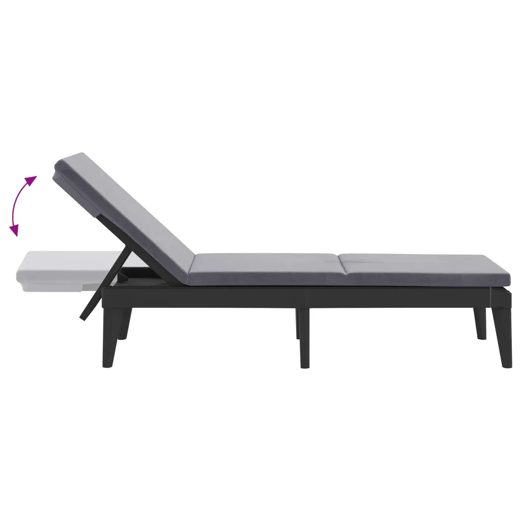 Lettino con Cuscino Antracite 186x60x29 cm in PP 364223