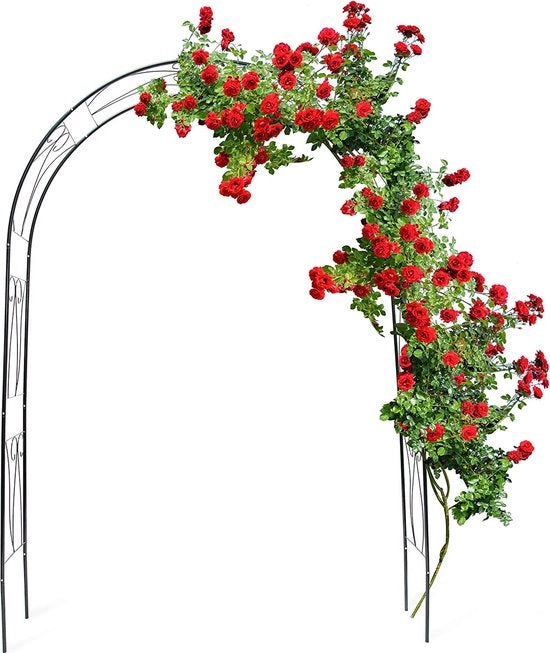 Sostegno per piante / per pomodori, zucchine e piante rampicanti - sostegno per piante 

Arco per giardino Arco per rose / Archi per giardino / Arco per giardino 

Sostegno per piante Sostegni per piante Sostegno per rose - aiuto per piante rampicanti