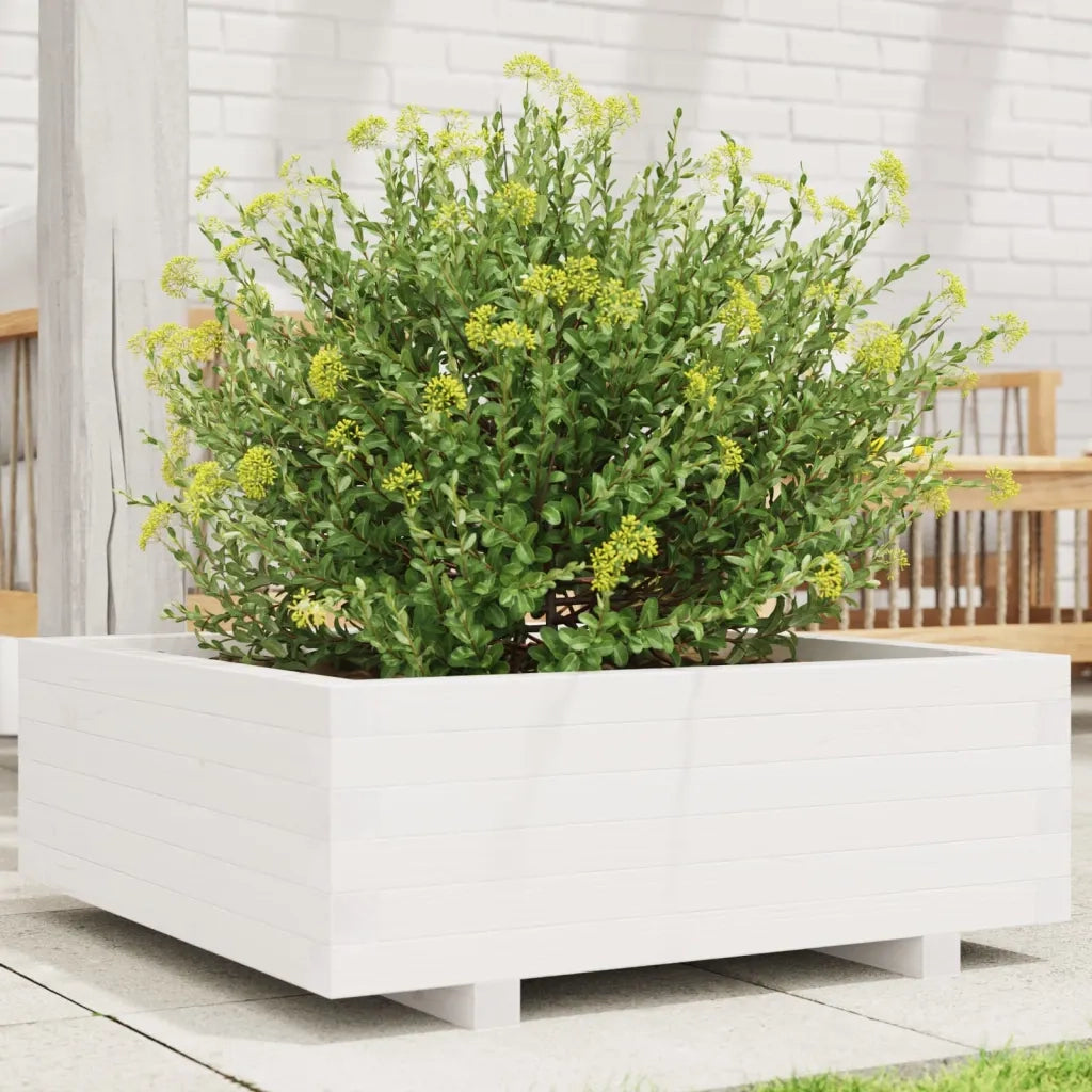 Fioriera da Giardino-Vaso da Esterno Bianca 70x70x26,5cm Legno Massello di Pino